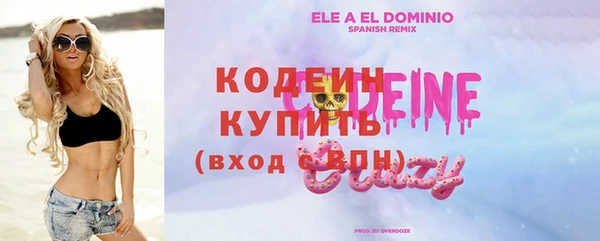 мдпв Богородицк
