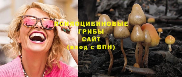 индика Приозерск