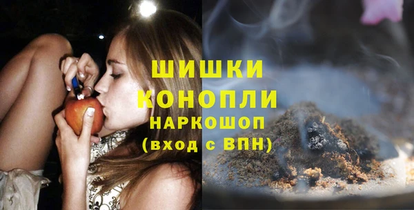 мдпв Богородицк